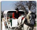 Horse Drawn Carriage Ride 