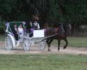 farm wedding