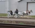 horse and carriage going to a picnic