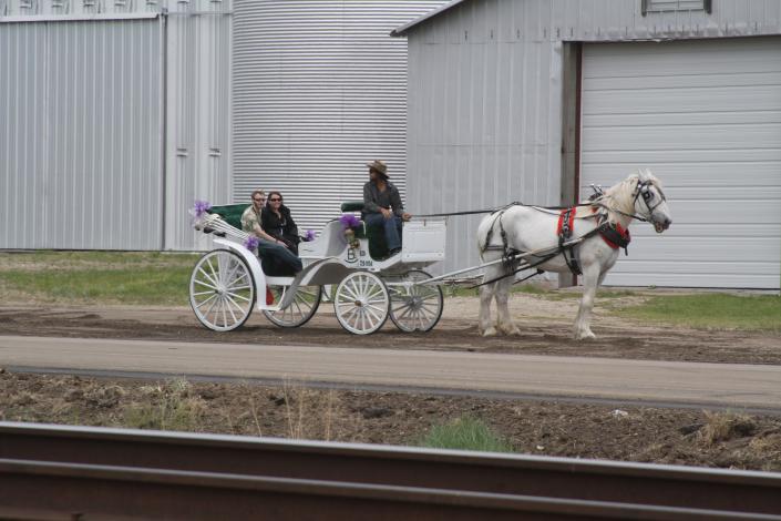 horse and carriage going to a picnic