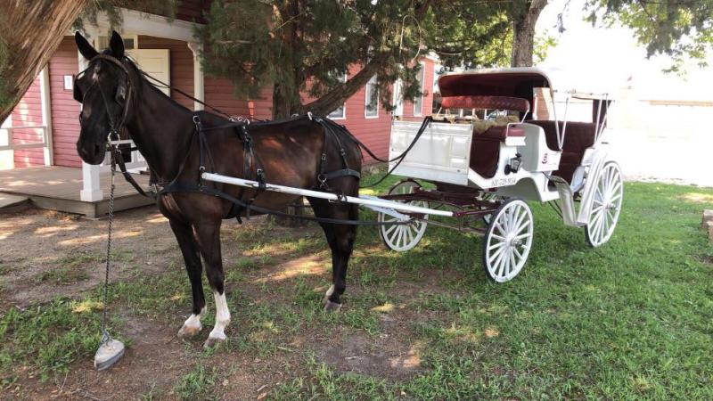 Horse and Carriage rides in Kansas
